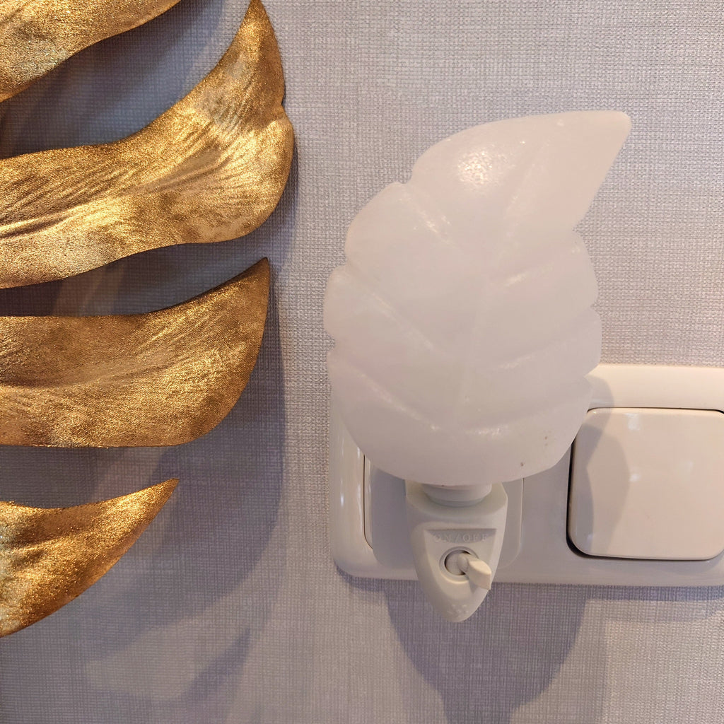 Witte zoutsteen blad nachtlampje